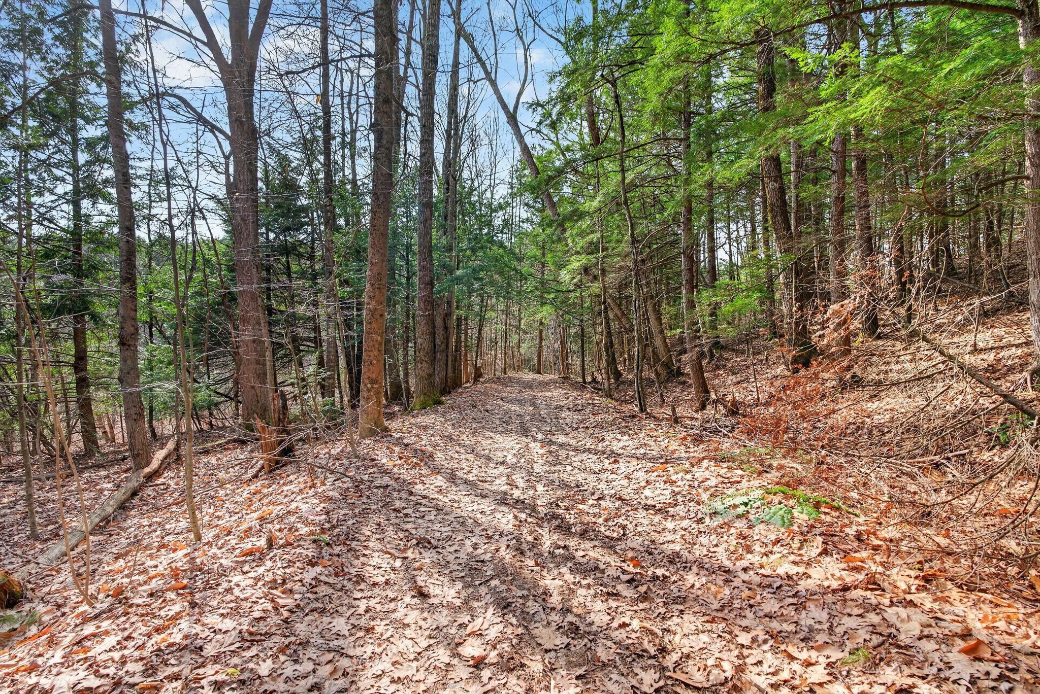 168 Harding Bridge Road Gorham, ME 04038 - Photo 43 of 50 32_DSC05101