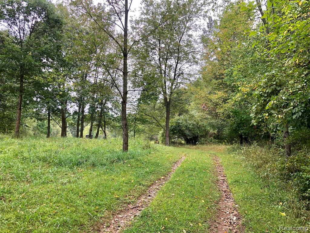 4570 Blood Road Metamora, MI 48455 - Photo 8 of 33 Gallery Image 8