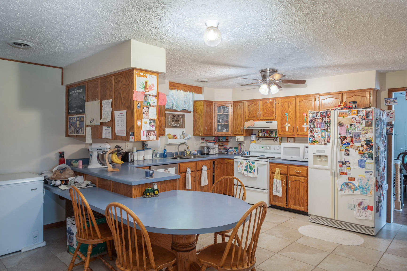 479 Bethlehem Ridge Road Science Hill, KY 42553 - Photo 20 of 29 KXTB3119-Edit