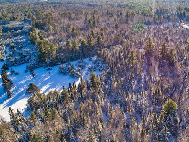 On Logging Road Eagle River, WI 54521 - Photo 4 of 8 Gallery Image 4