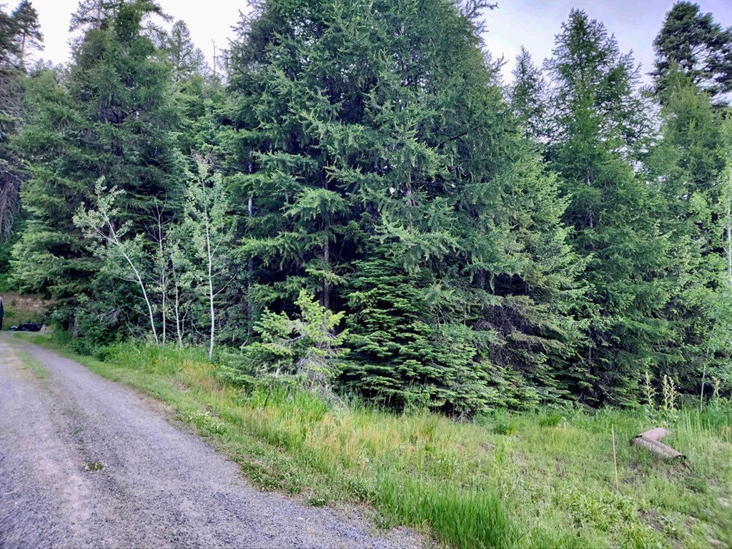 1457 West Mountain Road, Unit 2A45 Cascade, ID 83611 - Photo 7 of 12 Located in the Donnelly Area