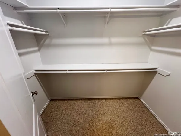 a view of a yard with large tree