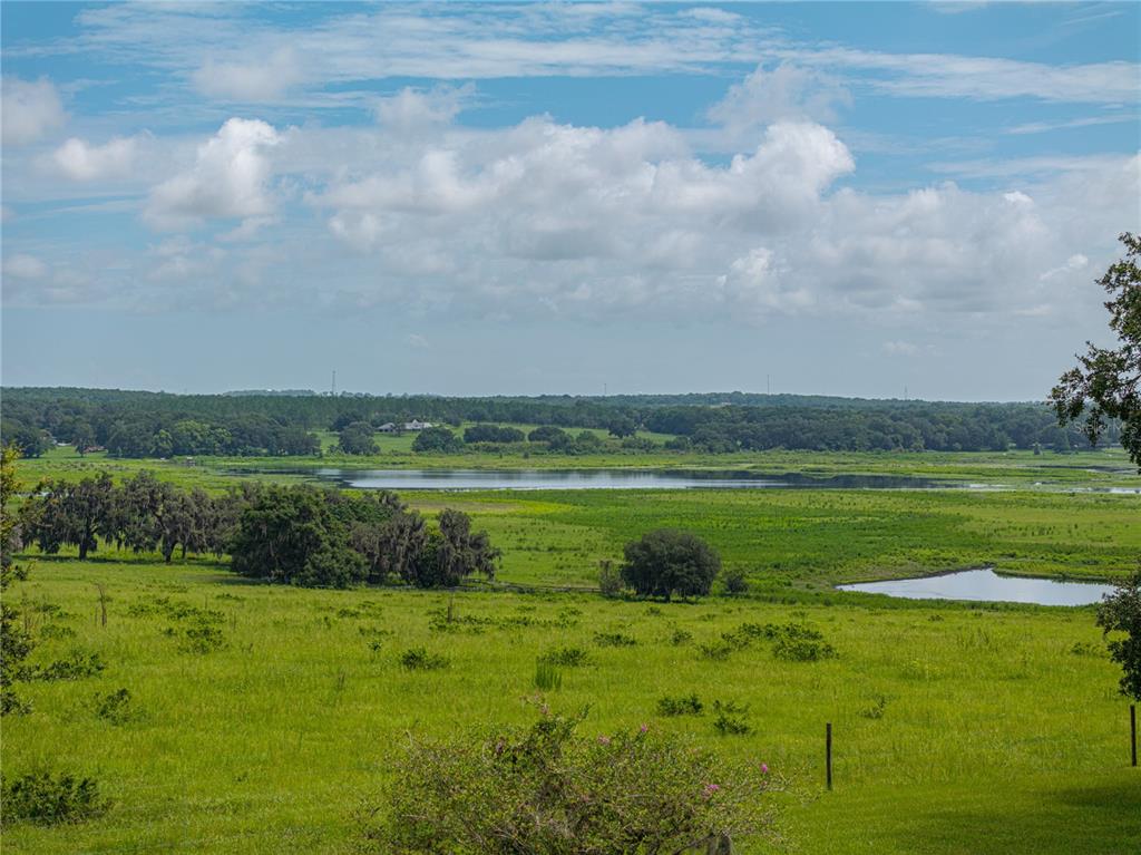 34868 Prospect Road Dade City, FL 33525 - Photo 93 of 95 Gallery Image 93
