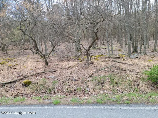 a view of a yard with a tree