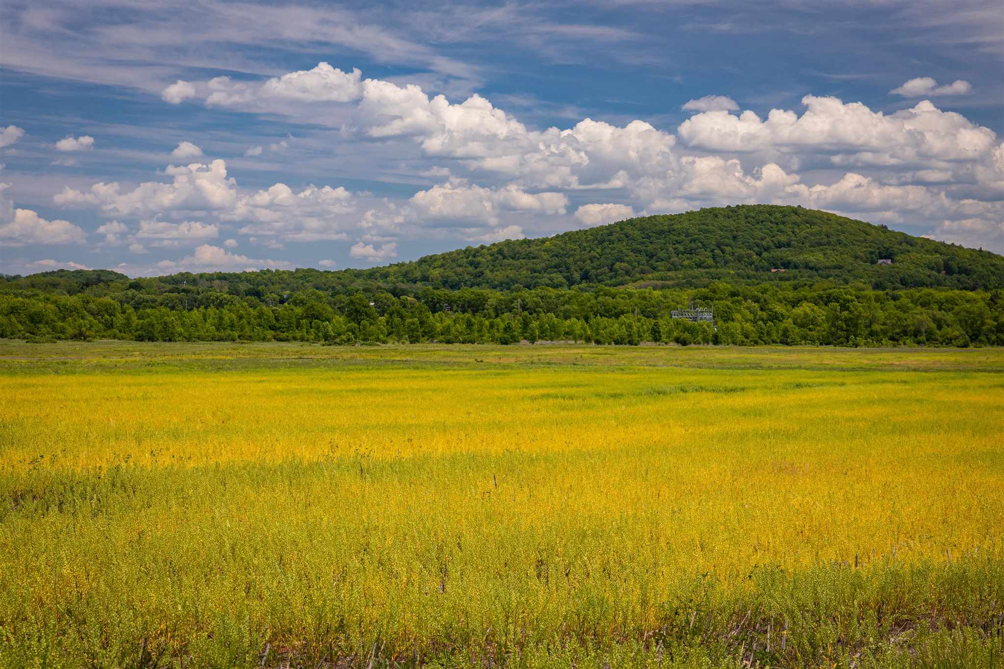 0 Ferry Road, Unit AG LAND Charlotte, VT 05445 - Photo 7 of 9 Gallery Image 7