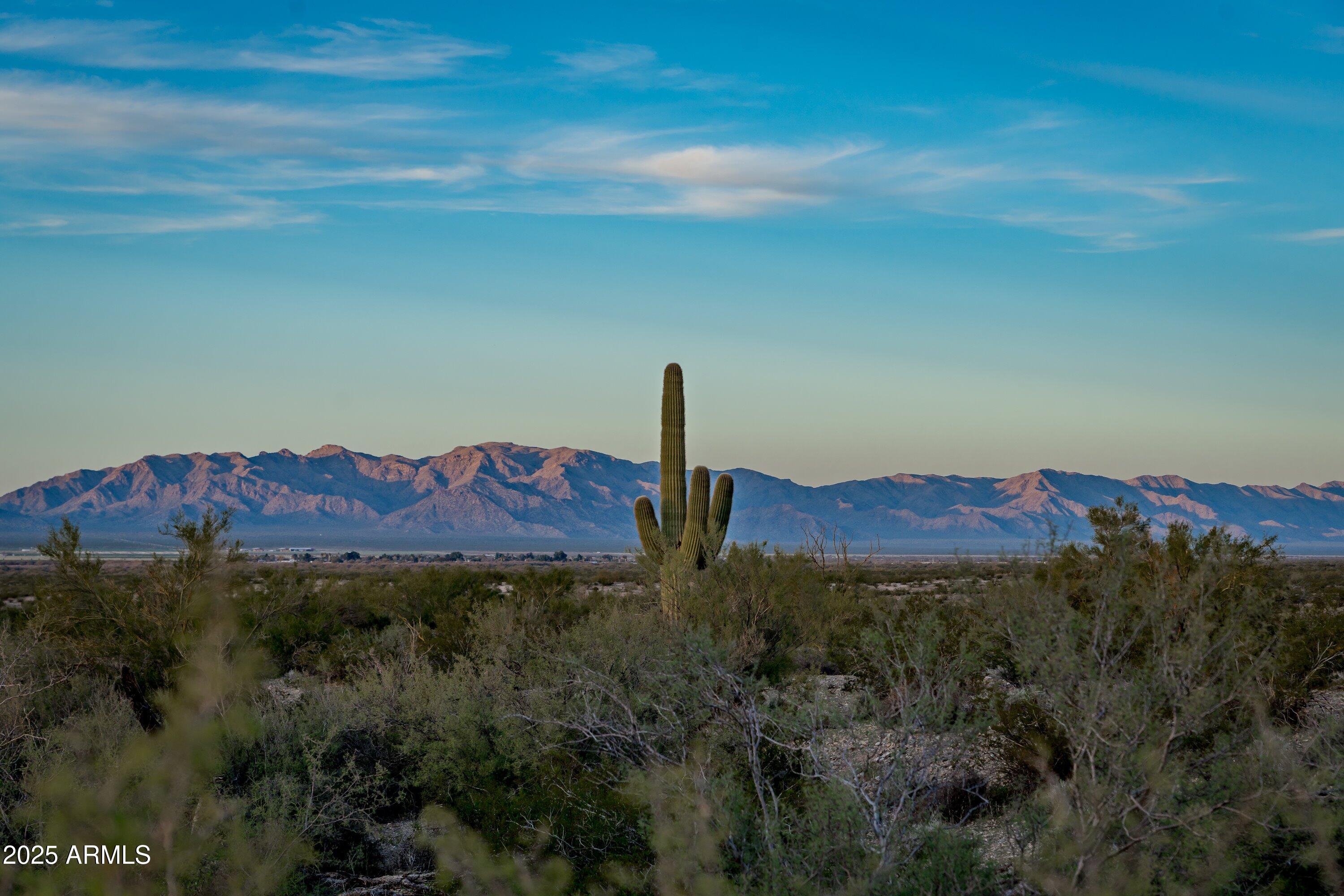 69182 North Centennial Park Road Salome, AZ 85348 - Photo 79 of 91 a view of a house with a yard