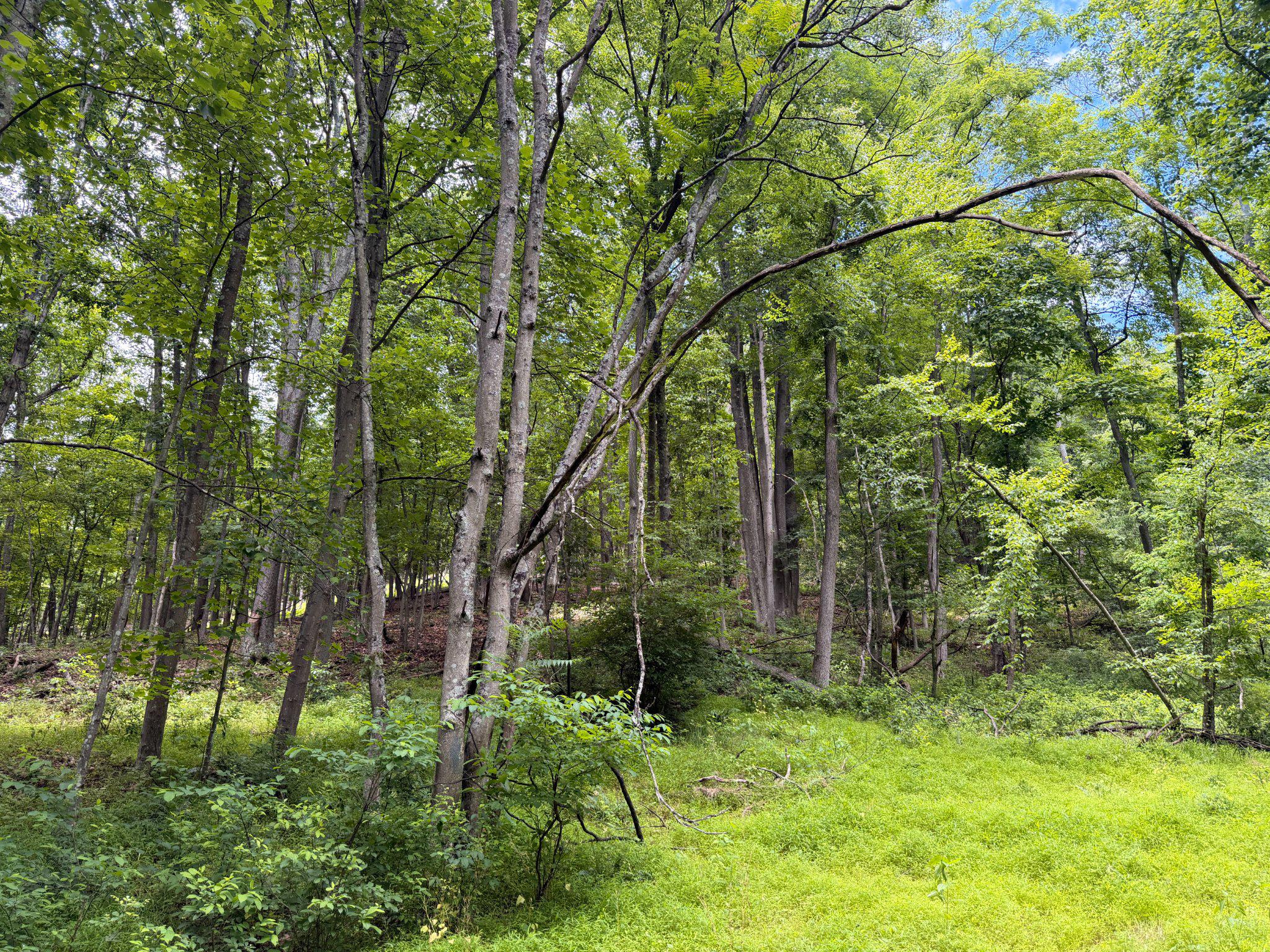 14600 Williams Road Southeast Cumberland, MD 21502 - Photo 15 of 122