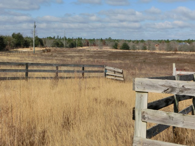 F & G Pickett Post Road Windsor, SC 29856 - Photo 17 of 18