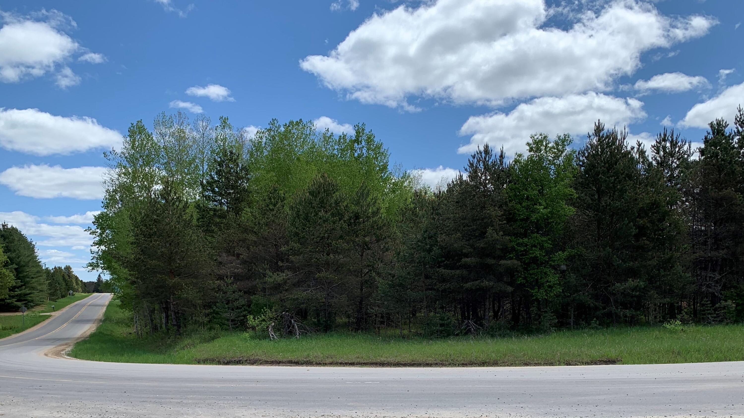 20 East Rd Manton Mi 49633 Road Fife Lake, MI 49633 - Photo 1 of 8 Gallery Image 1
