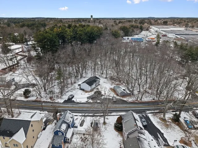 a view of a wooden floor and a tree in the background