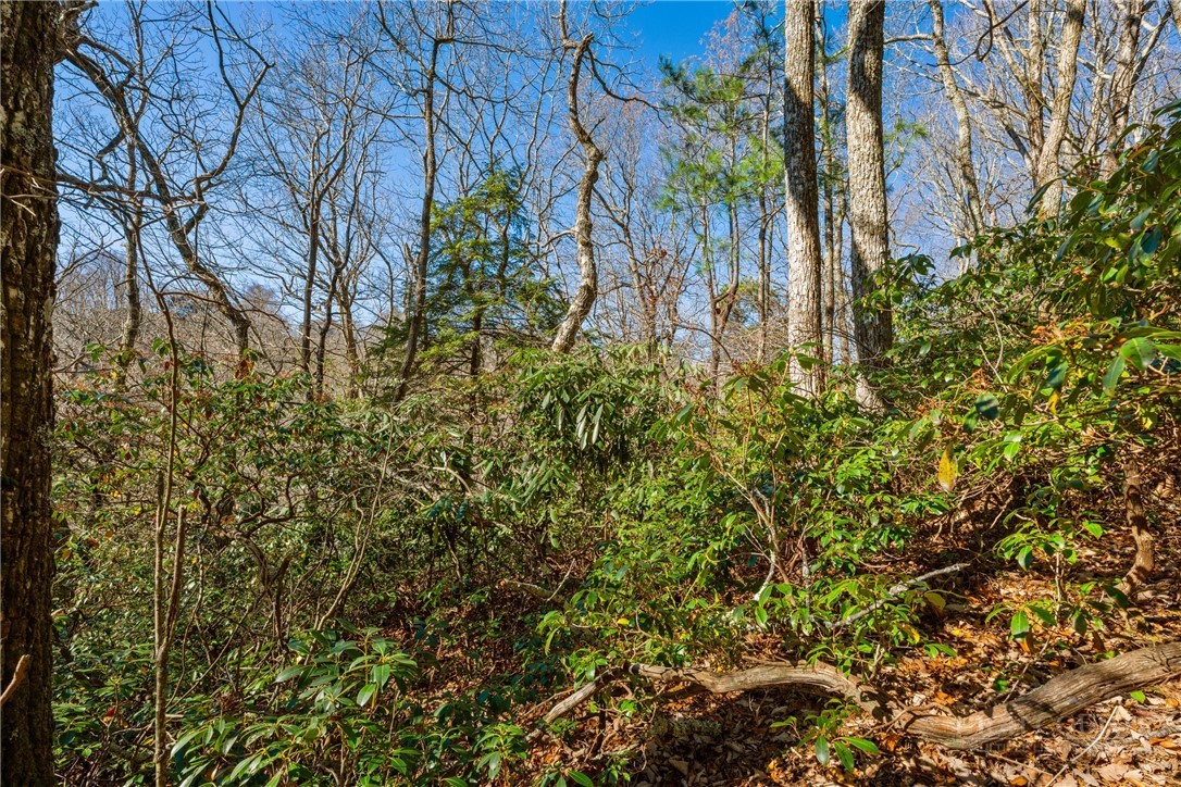 Lot 61 Boone Coffey Trail Boone, NC 28607 - Photo 11 of 22