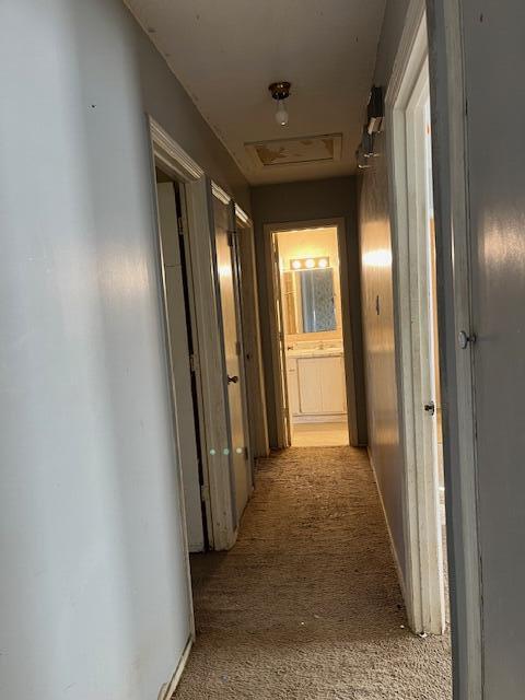 3418 Lucie Street Augusta, GA 30906 - Photo 7 of 20 Hall