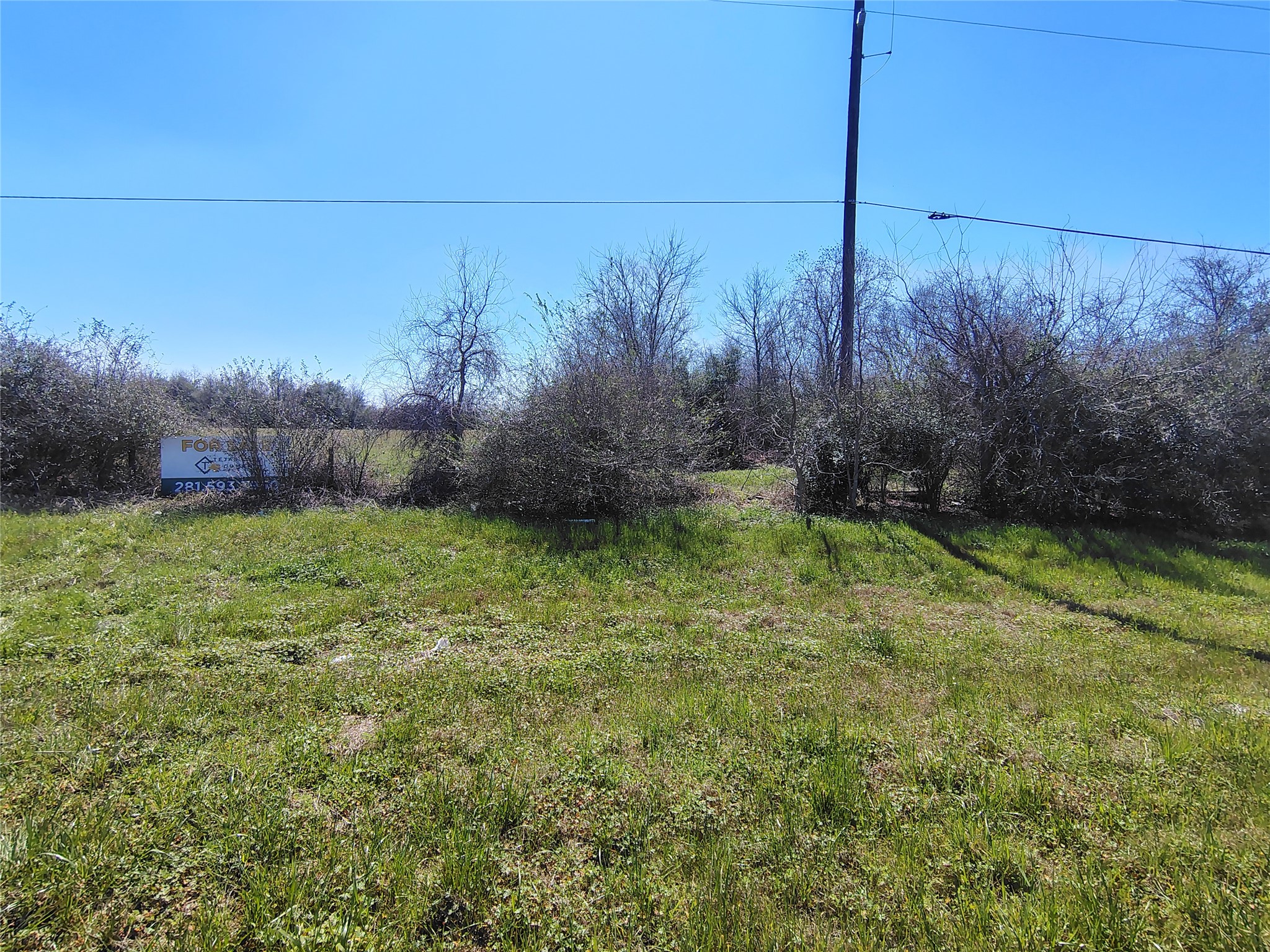 Tbd Brumlow Road Waller, TX 77484 - Photo 4 of 5 a view of a backyard