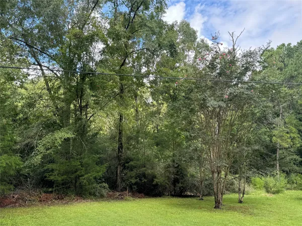a view of a green yard
