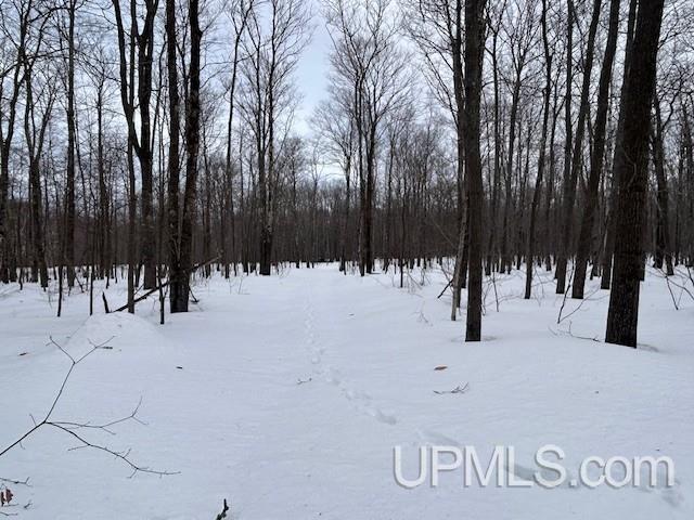 53554 North Superior Road Houghton, MI 49931 - Photo 36 of 41