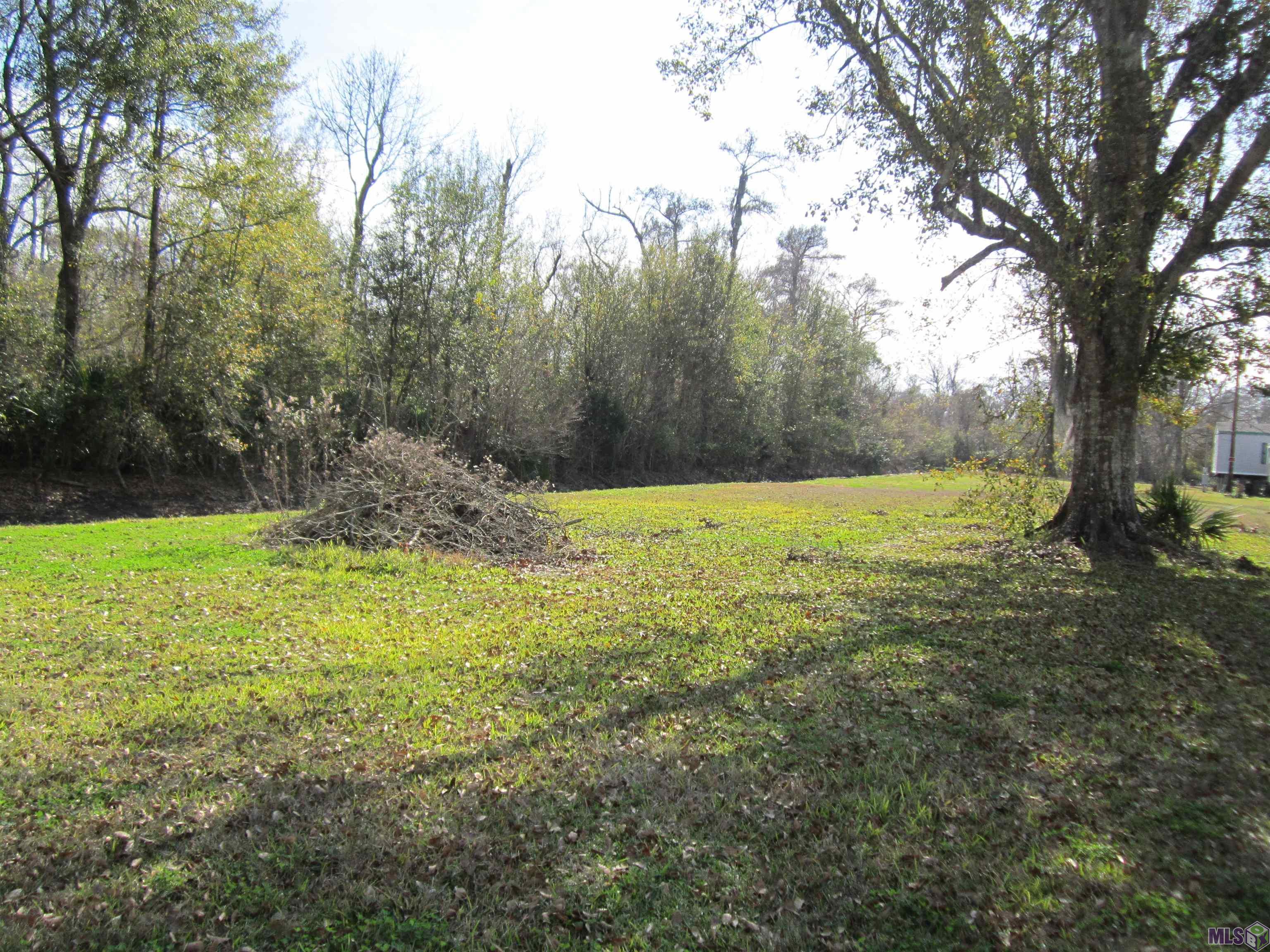 305 Rural Drive Bourg, LA 70343 - Photo 4 of 14