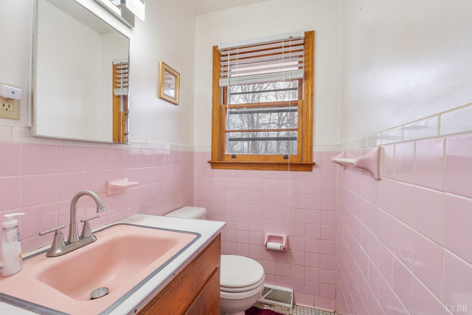 528 Jasper Wood Road Hurt, VA 24563 - Photo 21 of 44 a bathroom with a sink a toilet and a mirror