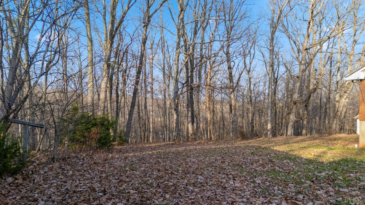 528 Jasper Wood Road Hurt, VA 24563 - Photo 4 of 44 a view of a backyard with large trees