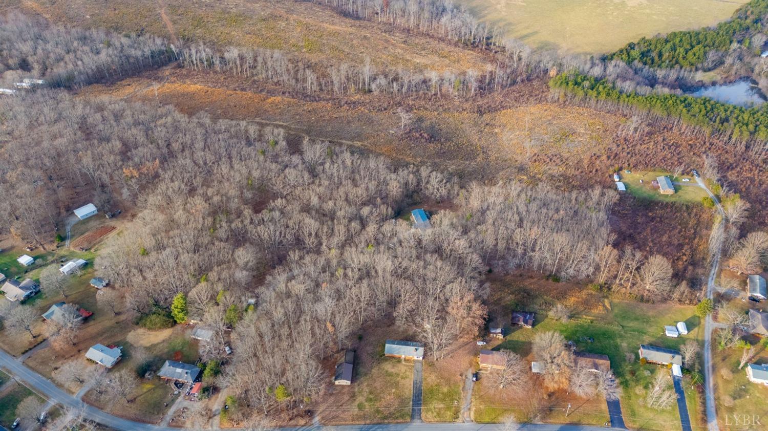 528 Jasper Wood Road Hurt, VA 24563 - Photo 41 of 44 a view of a tree with a yard
