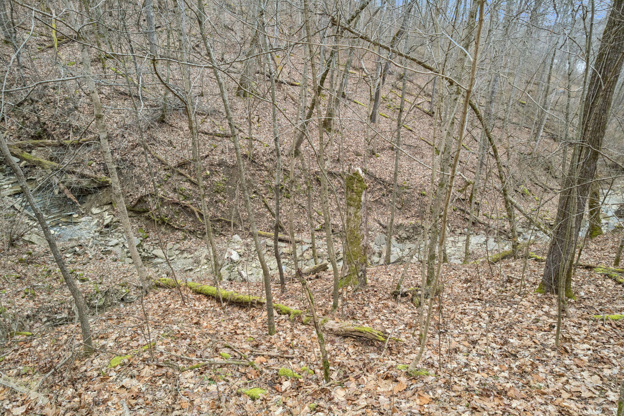 4718 Highway 8 Augusta, KY 41002 - Photo 35 of 46