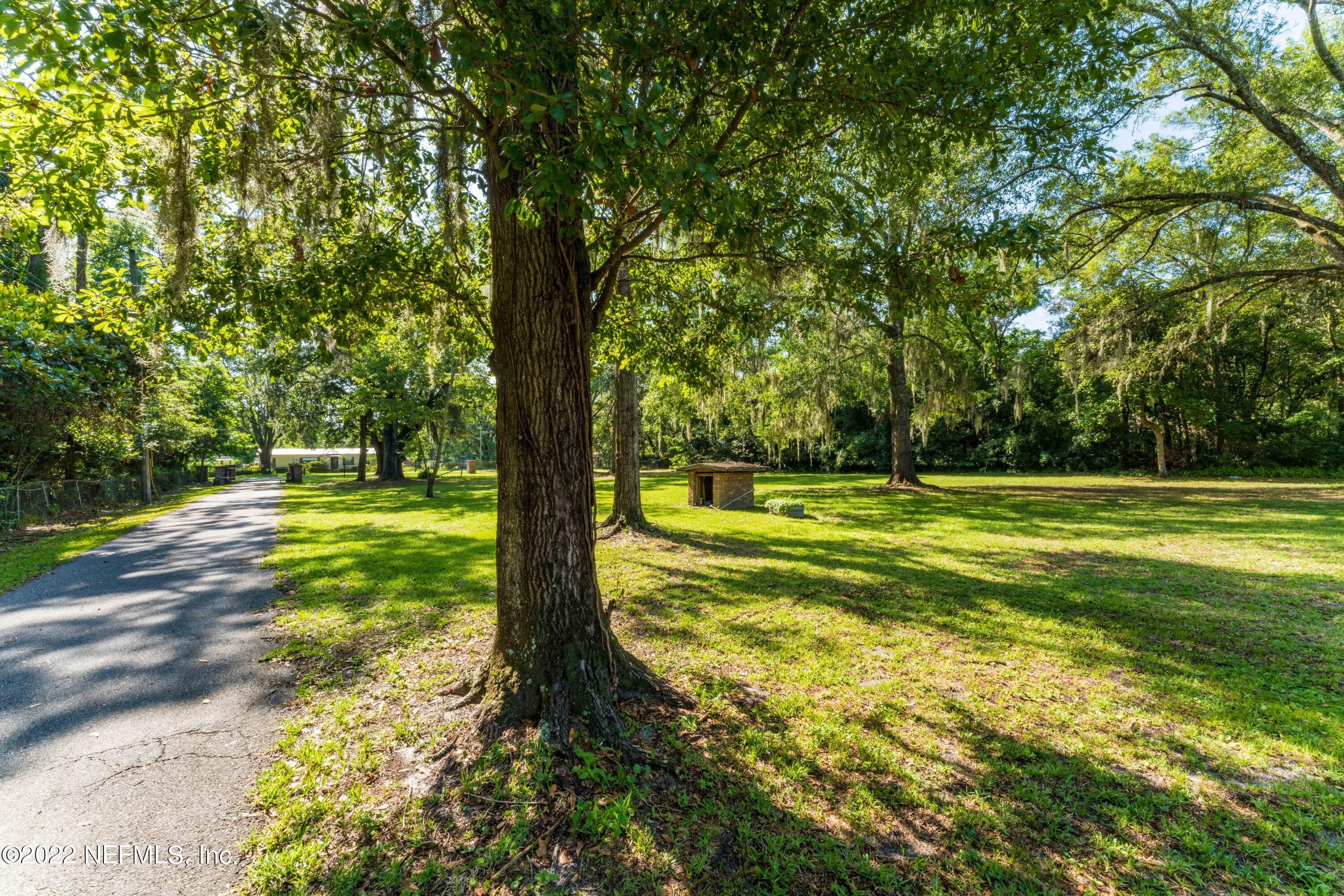 6130 Firestone Road Jacksonville, FL 32244 - Photo 56 of 67 a view of a big yard with a large trees