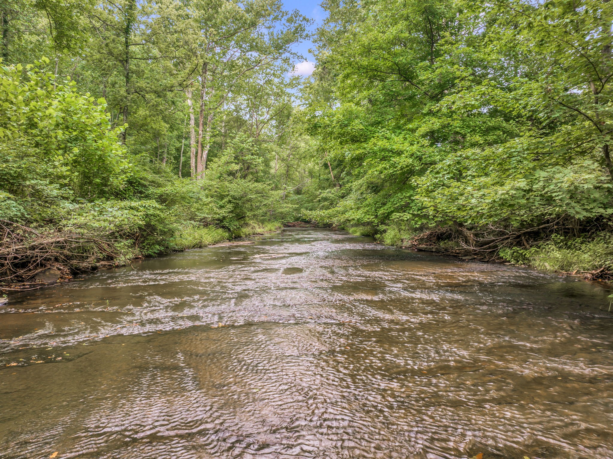 5252 Ridge Hill Road Joelton, TN 37080 - Photo 8 of 18 Gallery Image 8