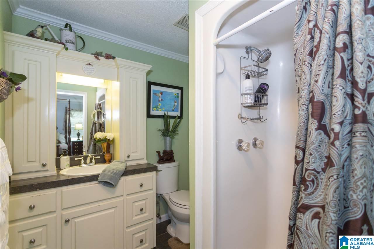 137 Old Spanish Trail Alabaster, AL 35007 - Photo 30 of 50