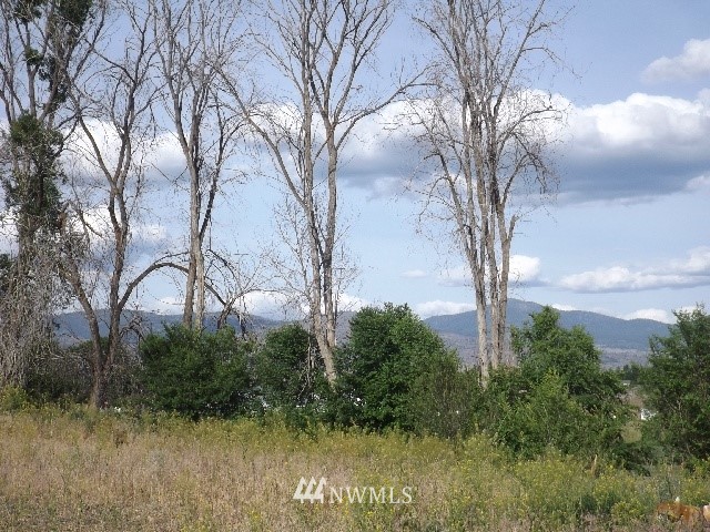 6 Nichols Road Omak, WA 98841 - Photo 22 of 23