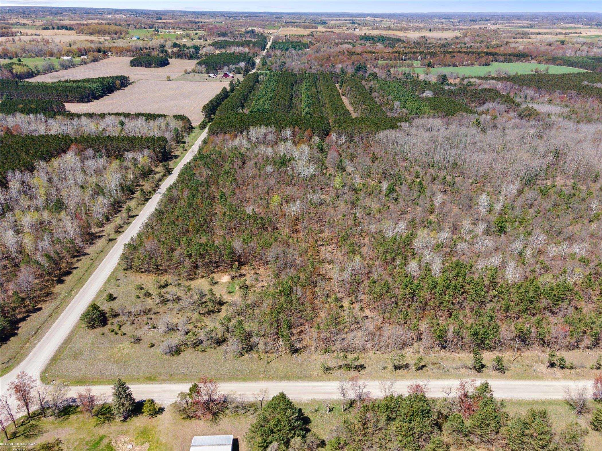 Hottis Road Whittemore, MI 48770 - Photo 13 of 21