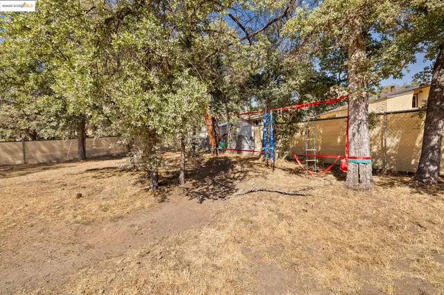 a view of a backyard with large trees