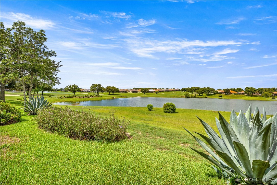 1328 West Diamond Shore Loop Hernando, FL 34442 - Photo 2 of 88