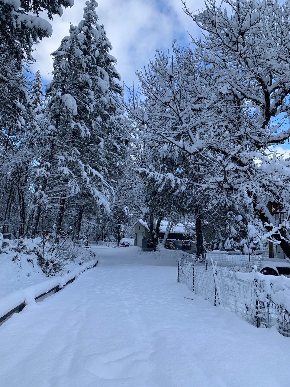 52 Dodes Creek Road Trail, OR 97541 - Photo 100 of 110 Winter Wonderland