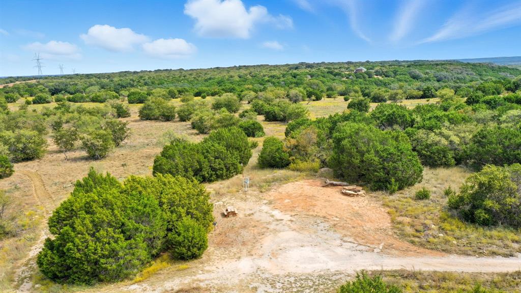 4636 Halsell Ranch Road Jacksboro, TX 76458 - Photo 24 of 40 a view of a yard with a plant