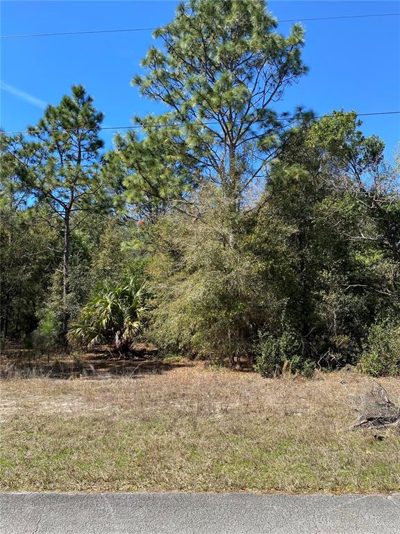 8630 North Catapane Loop Crystal River, FL 34428 - Photo 2 of 3