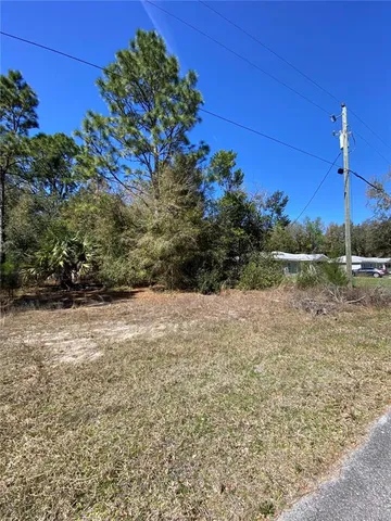 a view of a yard with a house