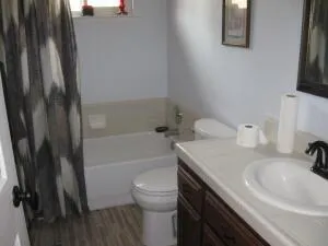 a bathroom with a sink a toilet and a tub