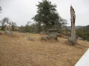 a view of a backyard of the house