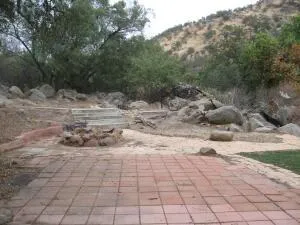 a view of a backyard with of trees