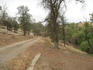 a view of outdoor space with trees