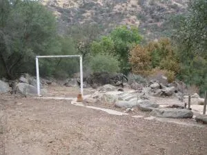 a view of backyard with trees