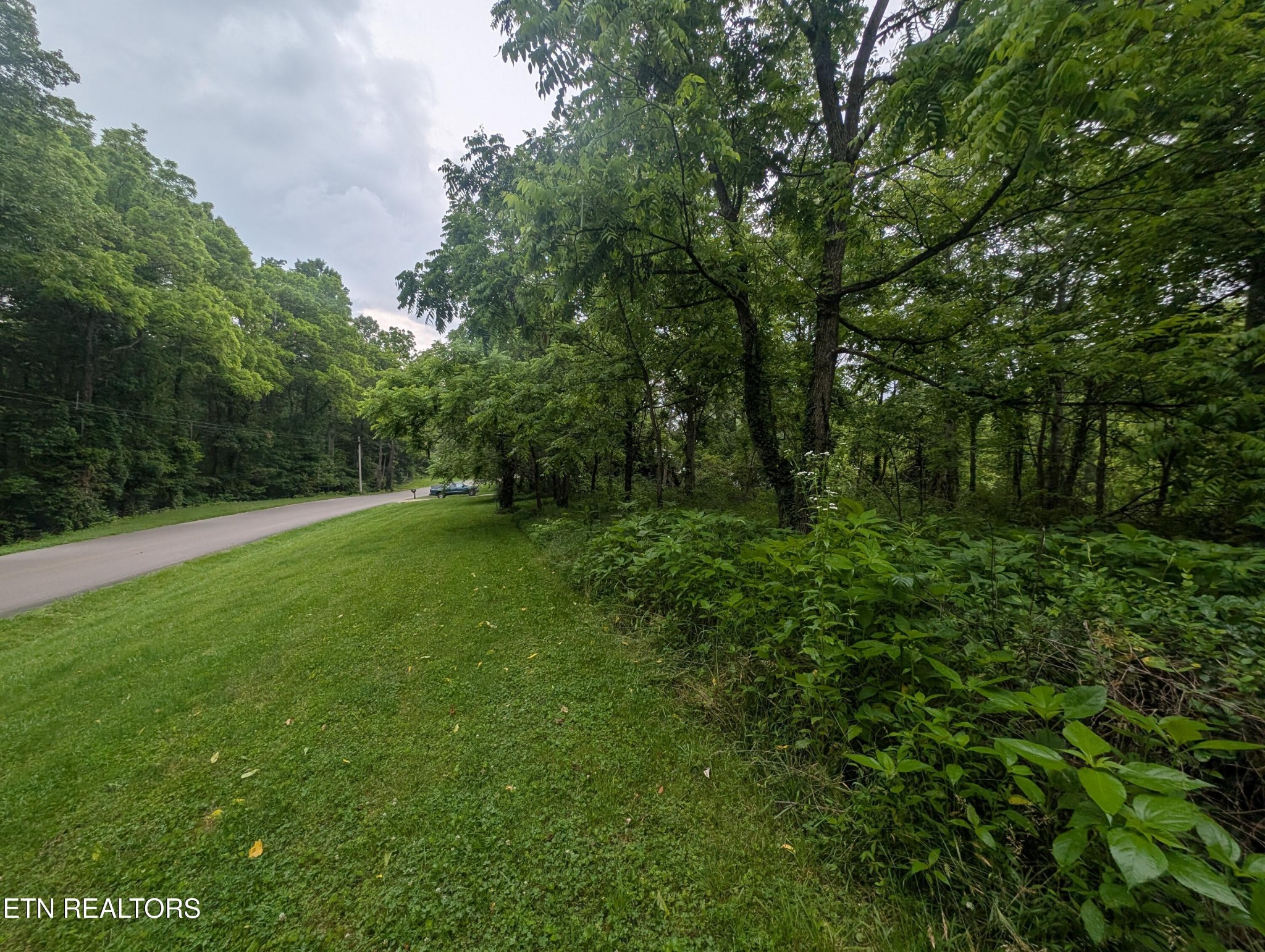 0 Mt Helen Road Allardt, TN 38504 - Photo 5 of 33 Gallery Image 5