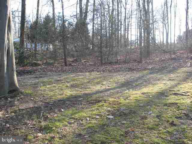 105 Village Road Etters, PA 17319 - Photo 17 of 22 Gallery Image 17