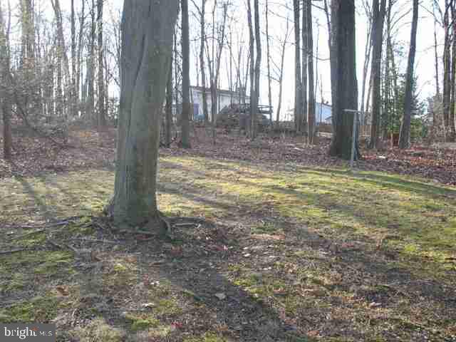 105 Village Road Etters, PA 17319 - Photo 18 of 22 Gallery Image 18
