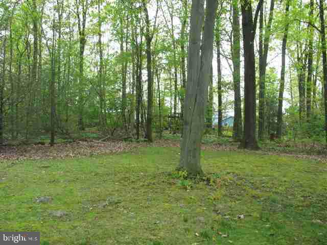 105 Village Road Etters, PA 17319 - Photo 21 of 22 Gallery Image 21