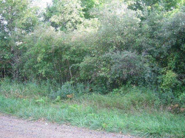 1 Five Lks Road Lapeer, MI 48446 - Photo 9 of 9 IMG_4664.JPG