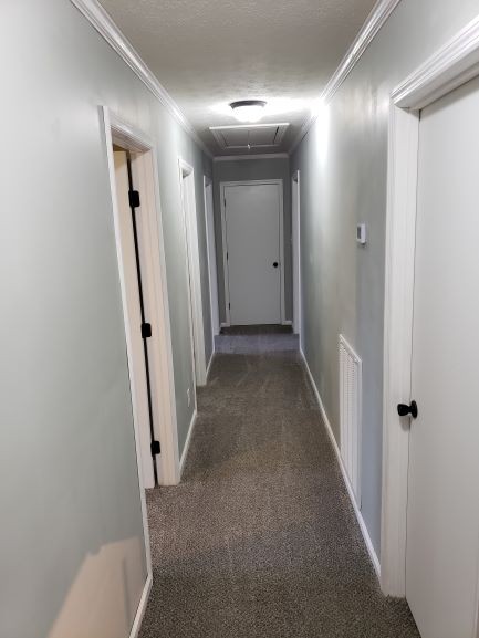 27 Sloan Branch Road Pleasant Shade, TN 37145 - Photo 14 of 35 a view of a hallway with toilet and a hallway