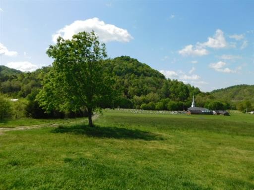 27 Sloan Branch Road Pleasant Shade, TN 37145 - Photo 35 of 35 a grassy field with trees in the background
