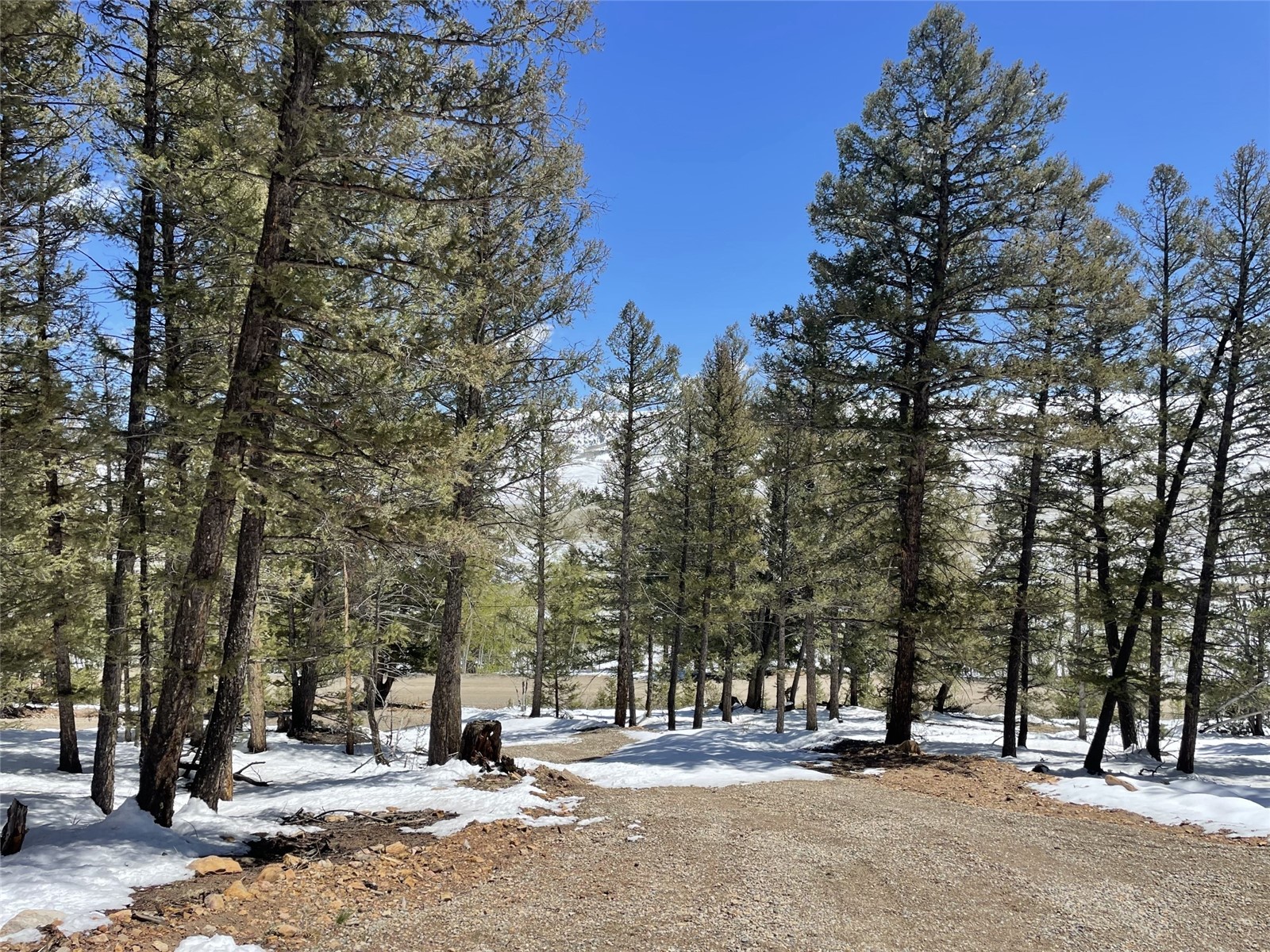 2975 Redhill Road Fairplay, CO 80440 - Photo 14 of 20 Gallery Image 14