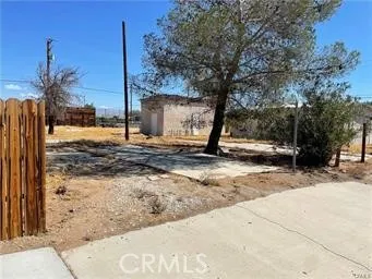 a view of a backyard with a tree