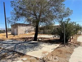 a view of a yard with a tree